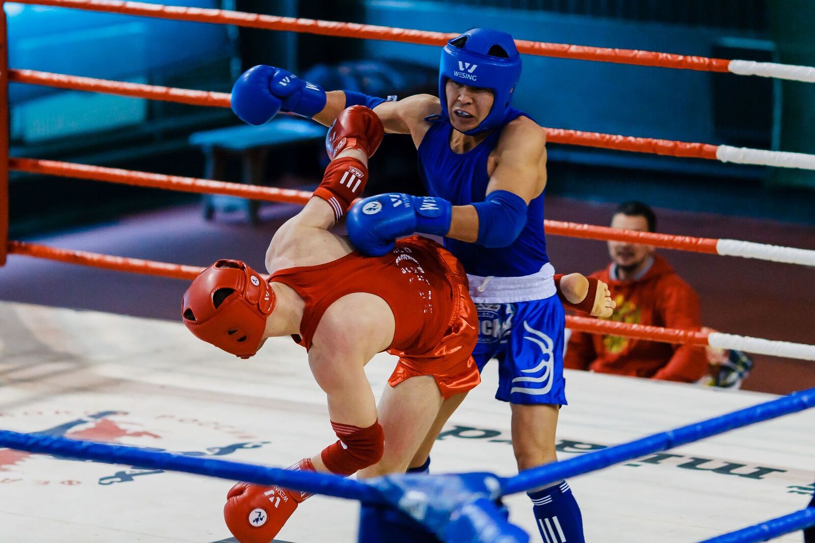 Borilački sportovi: Istorijski razvoj, izbor prave discipline i uspeh u rekreaciji