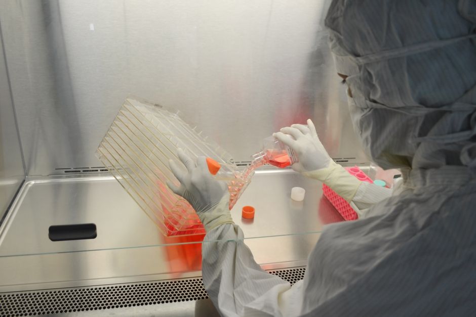 CRISPR tehnologija otvara vrata uspešnijem lečenju raka prostate