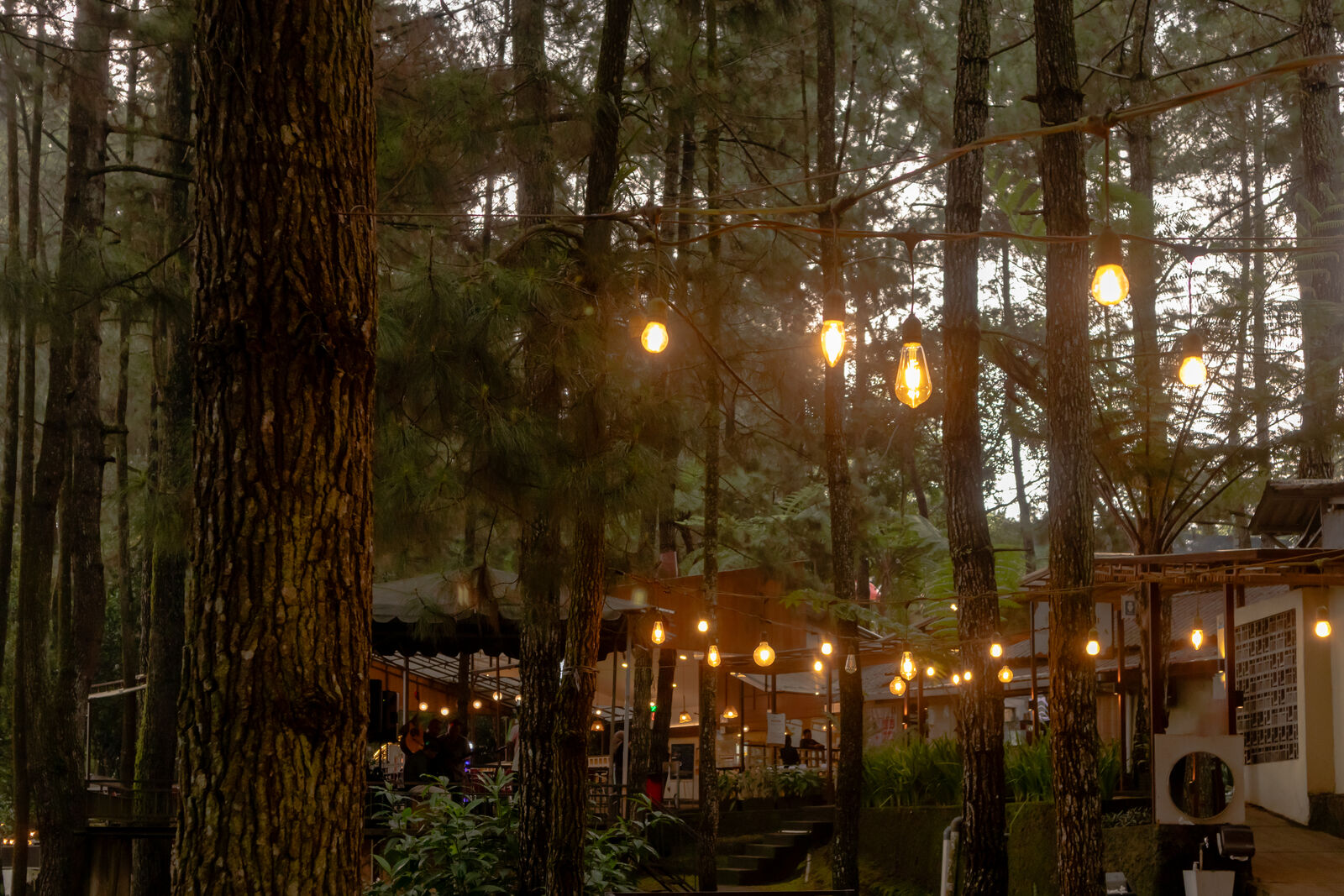 Kako izgleda skriveni šumski restoran pod kalifornijskim sekvojama