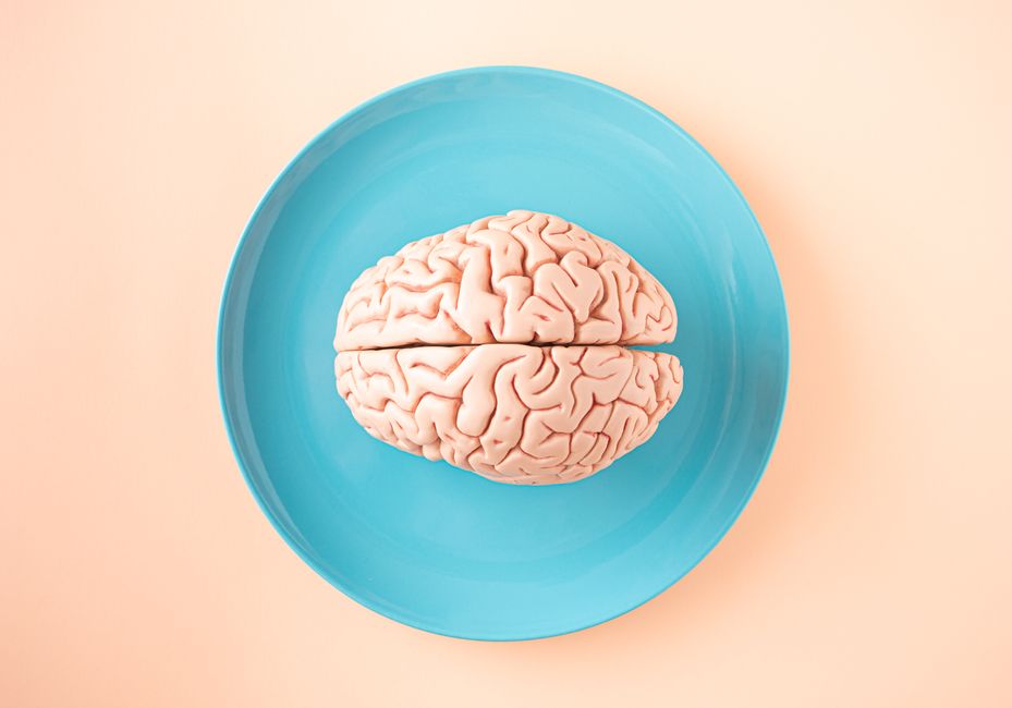 Kako mozak stvara našu stvarnost: Neurološki pogled Olivera Saksa