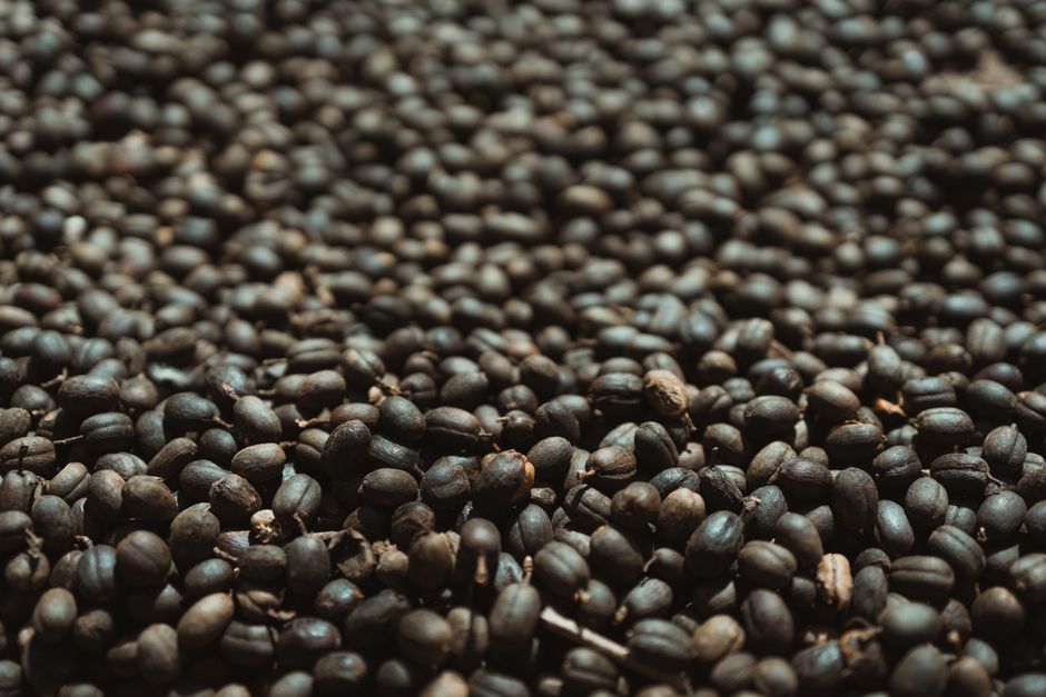 Plemenita misija kafe: Kako jemenski farmeri menjaju tradiciju zarad bolje budućnosti