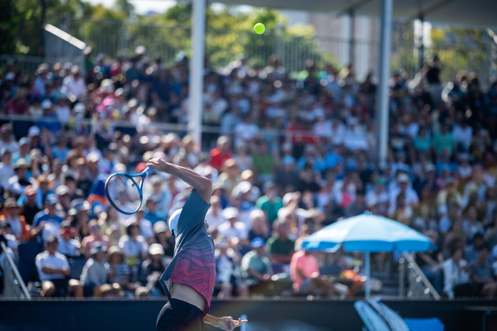 Podrška sa tribina u Njujorku: Poseban odnos publike i domaćih teniserki