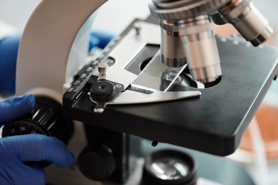 Revolucija u medicini: Znatiželja kao pokretač epohalnih otkrića