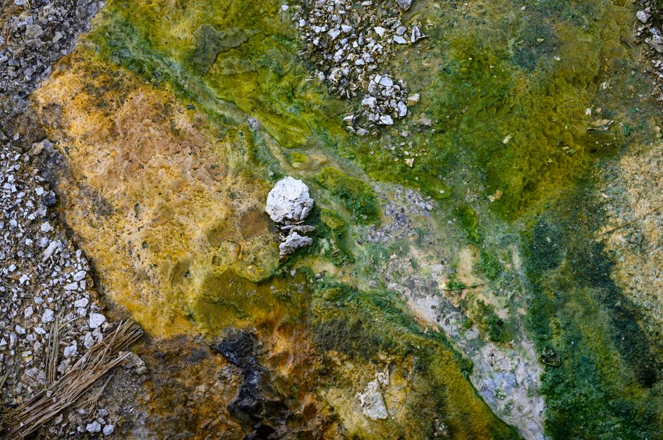 Zeleni kamen večnosti: Kako serpentin povezuje dubine okeana i kosmička prostranstva