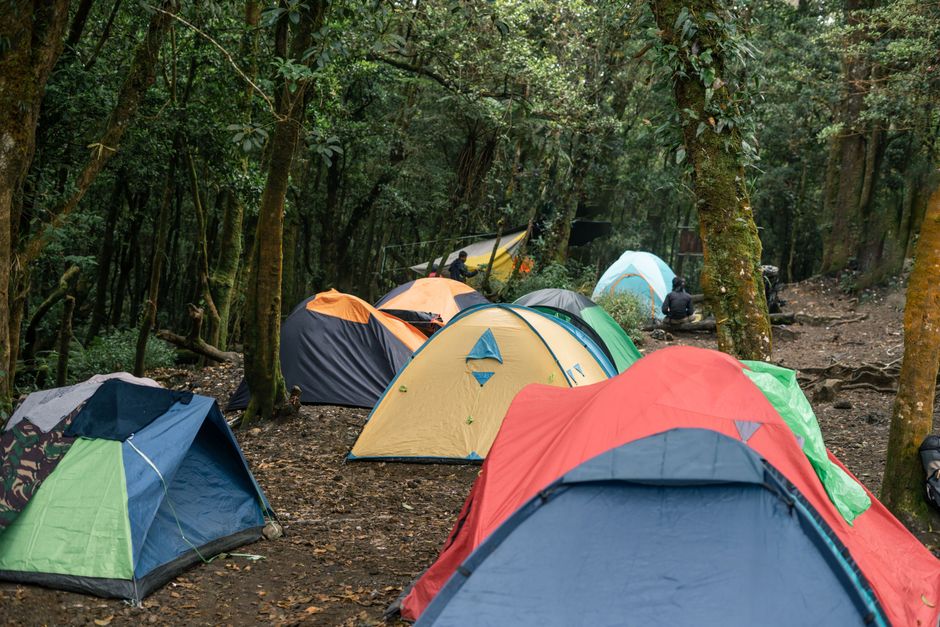 Zlatna pravila za bezbedno i odgovorno kampovanje u prirodi